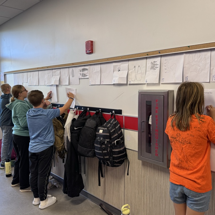 Figuring out which track is which!