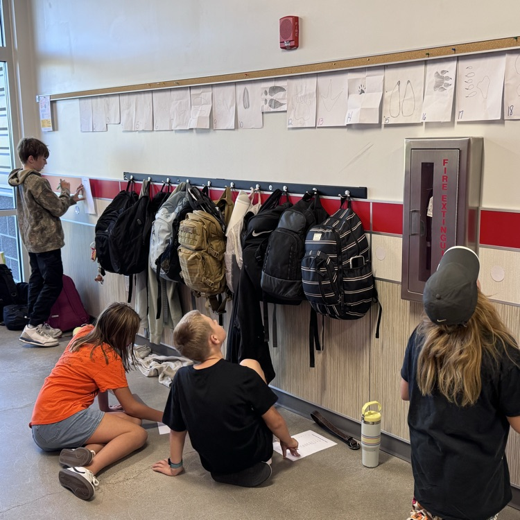 Which track goes with which animal ?