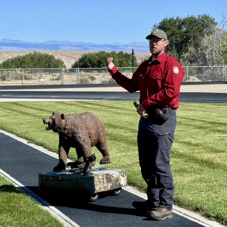 The mechanical bear.  