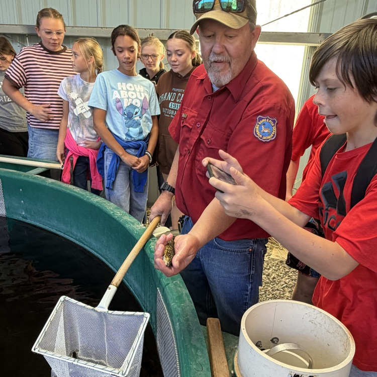 Learning about fish.  