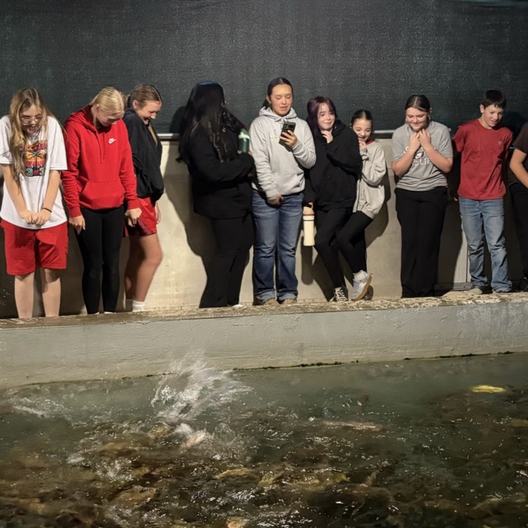 Feeding the fish.  