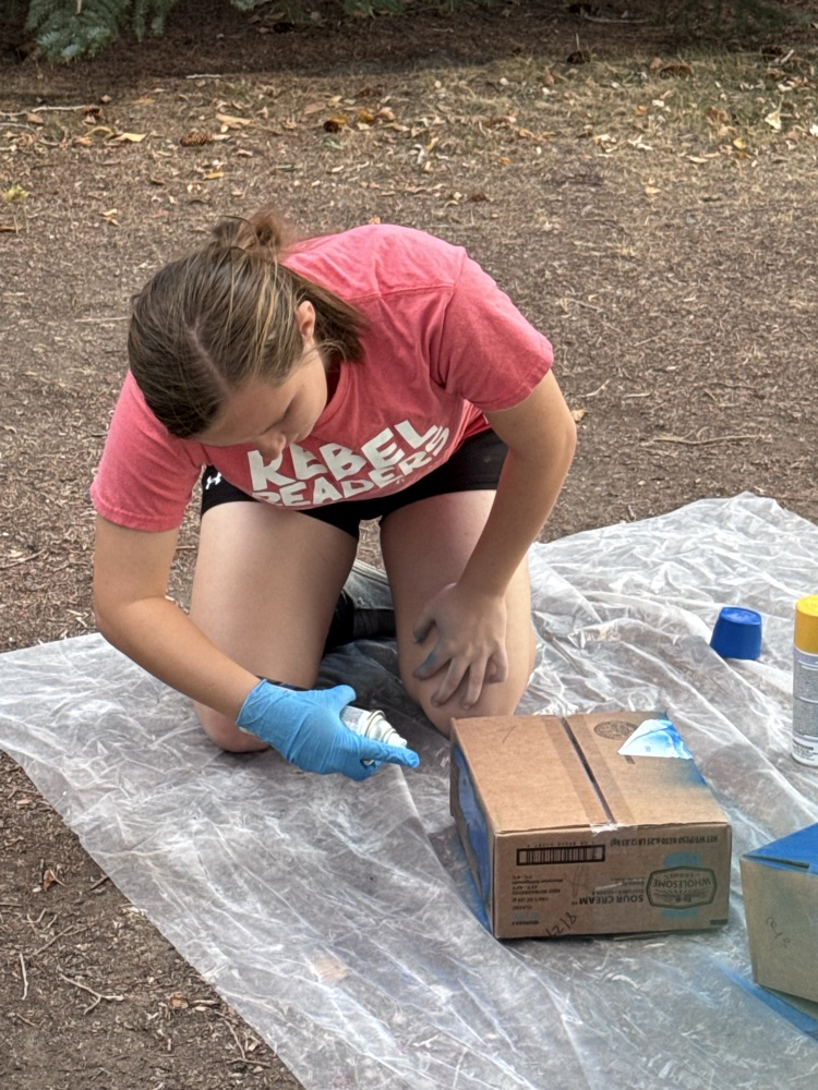 Painting the boxes  