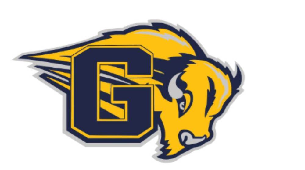 Buffalo Logo