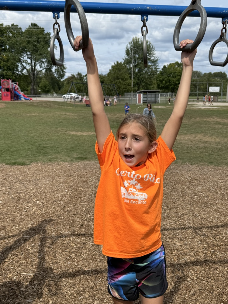 monkey bars