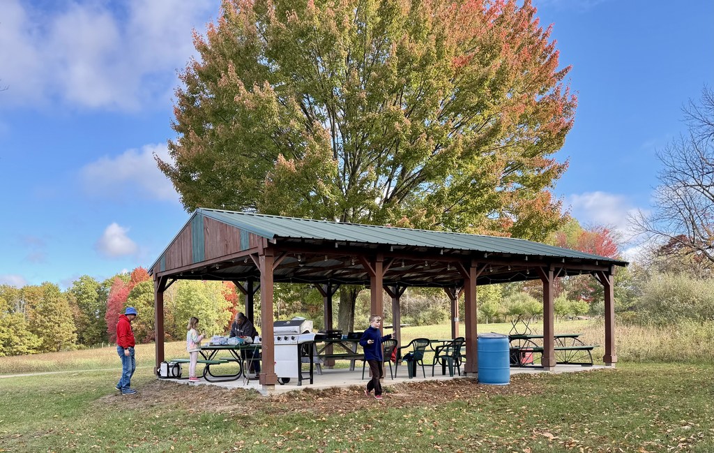 Field Trip to Four Green Fields