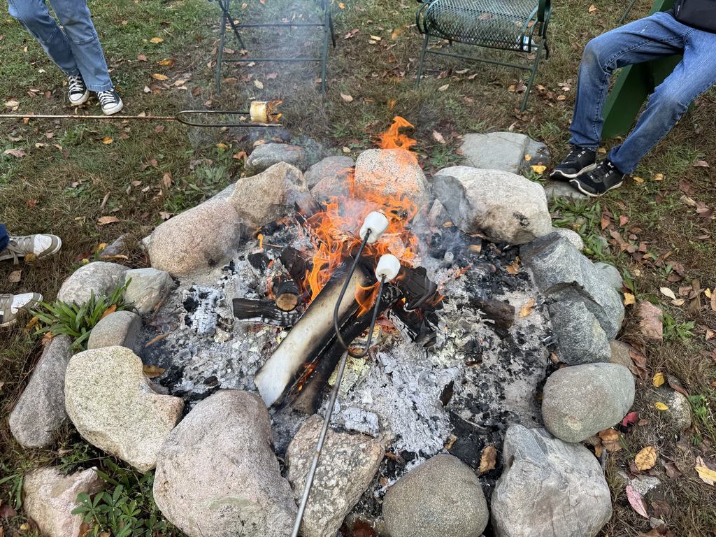 Field Trip to Four Green Fields