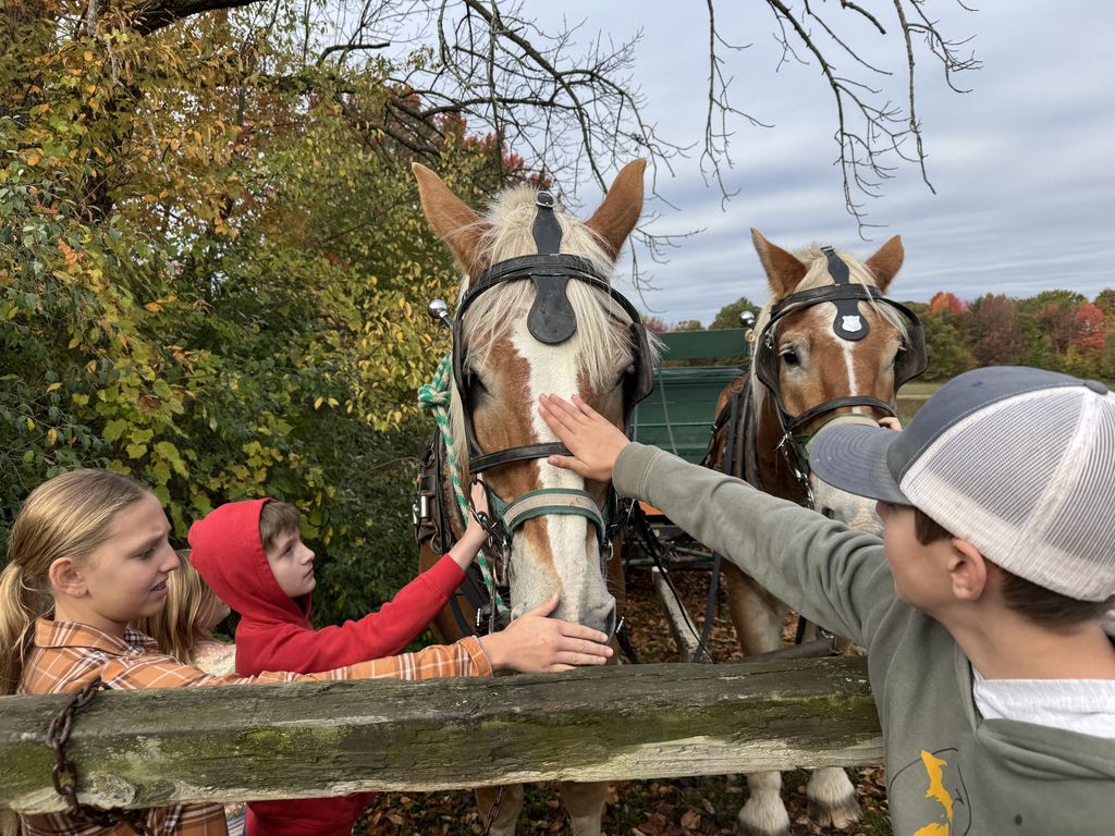 Field Trip to Four Green Fields