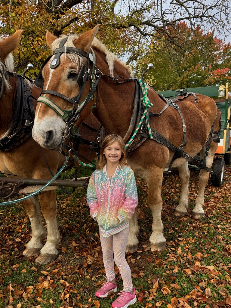 Field Trip to Four Green Fields