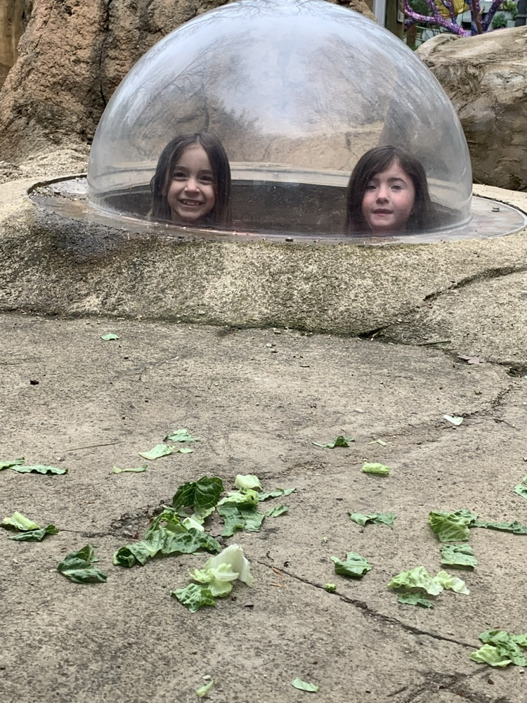 fun at the zoo