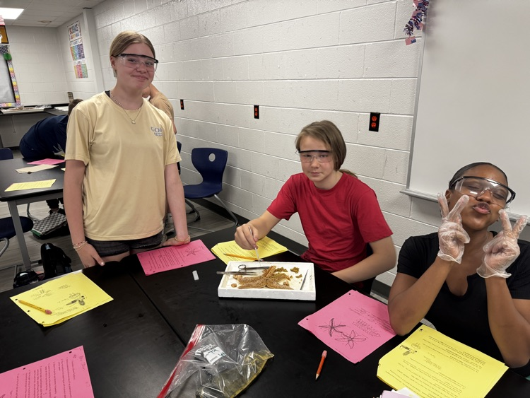 student scientists 