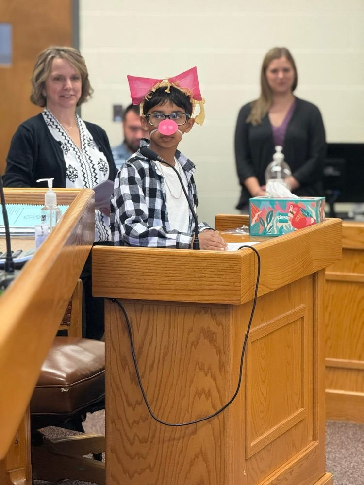 pig