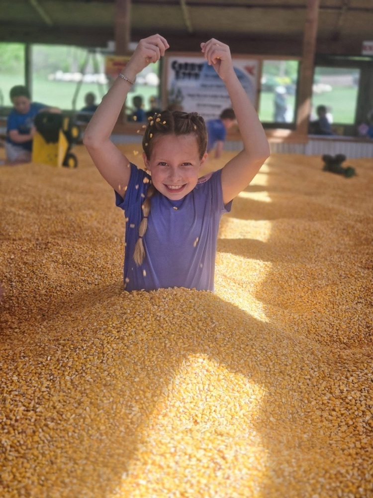 corn