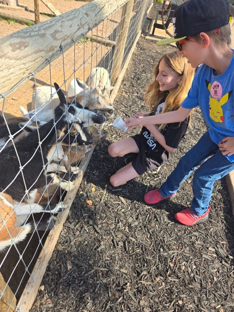 goats
