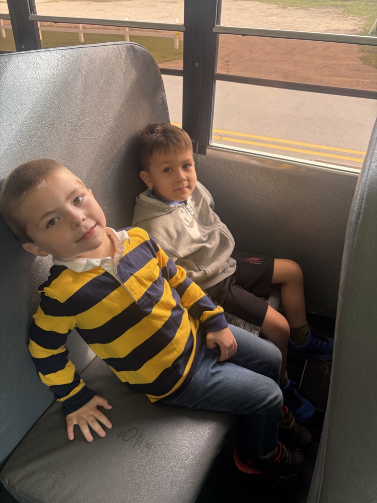 students sitting on the bus