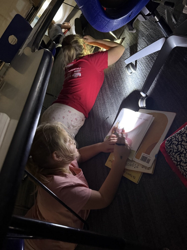 flashlight reading 