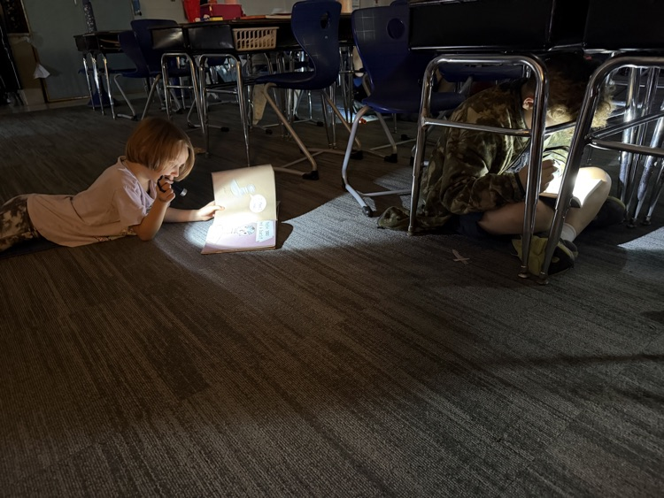 flashlight reading 
