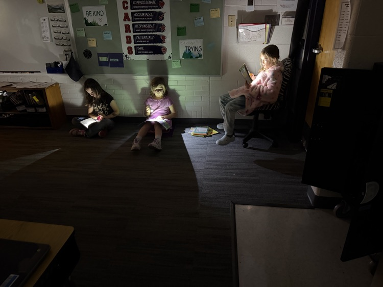 flashlight reading