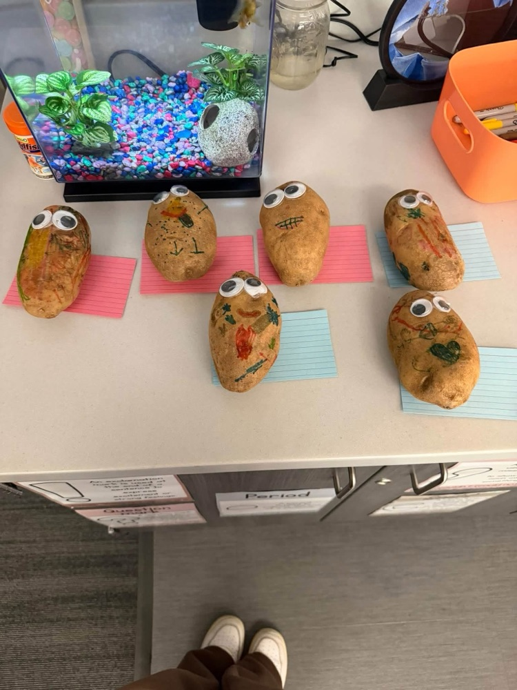 potatoes