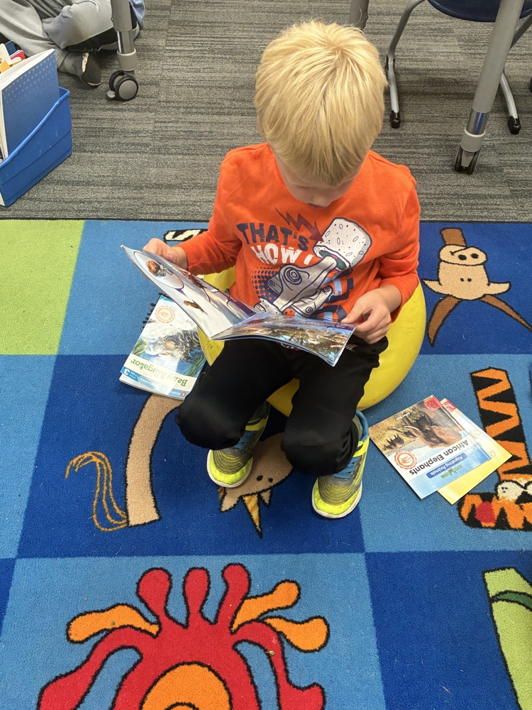 a student reading