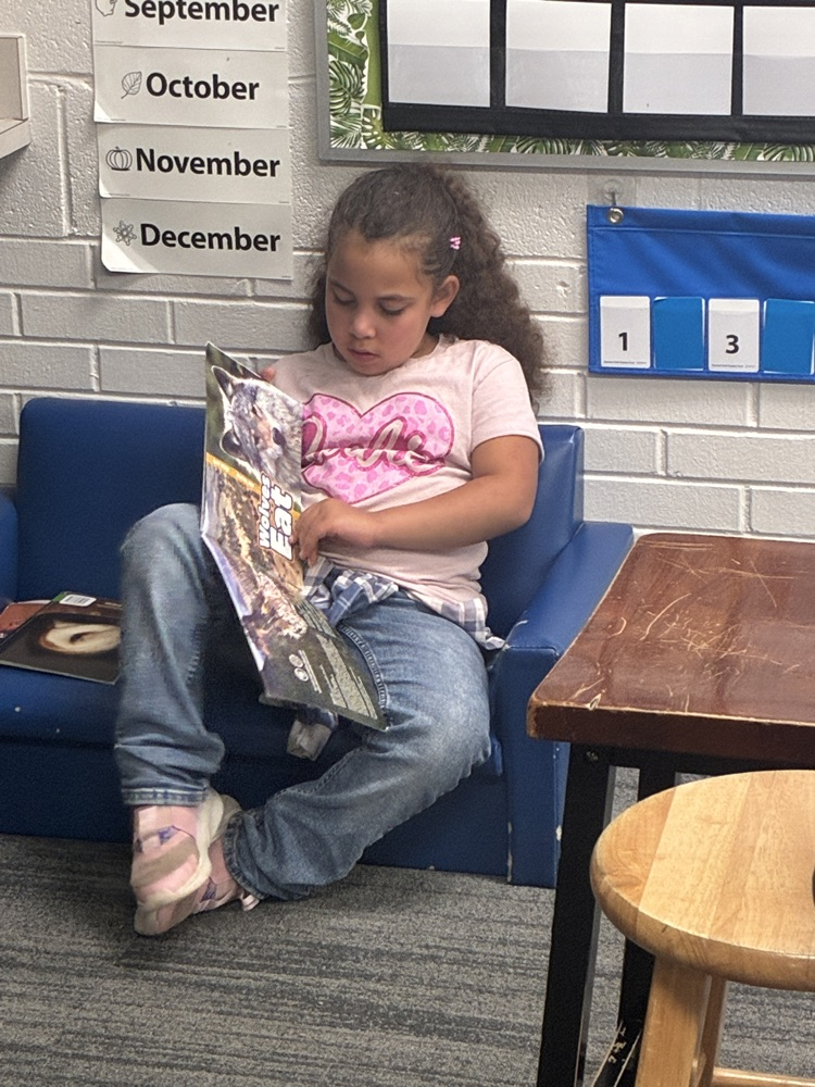 a student reading