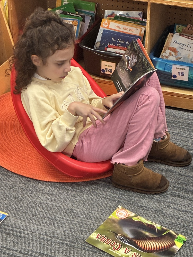 a student reading