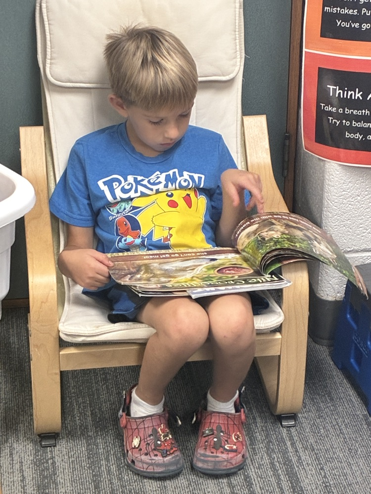 a student reading