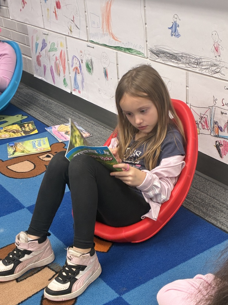 a student reading
