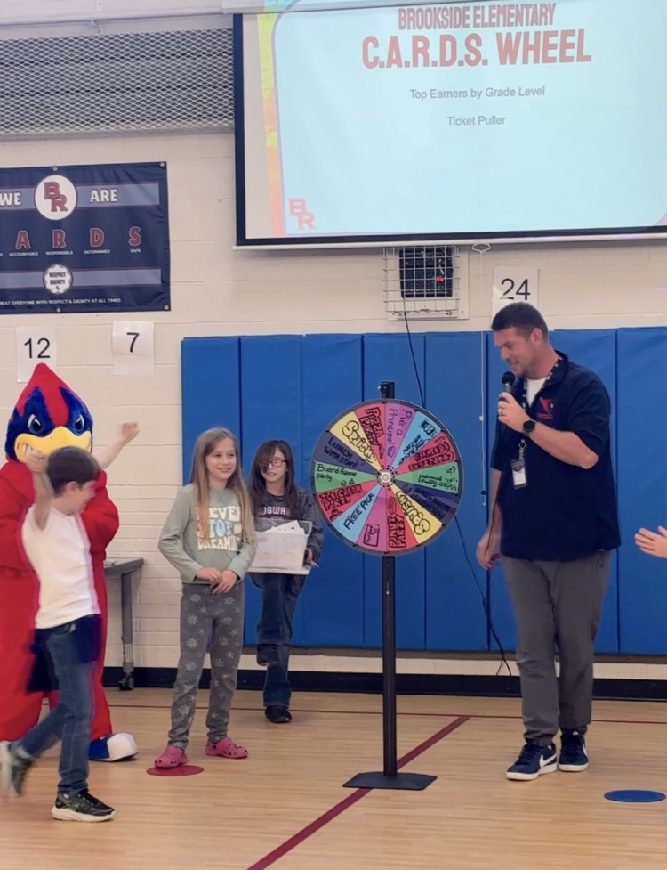 spinning the CARDS wheel