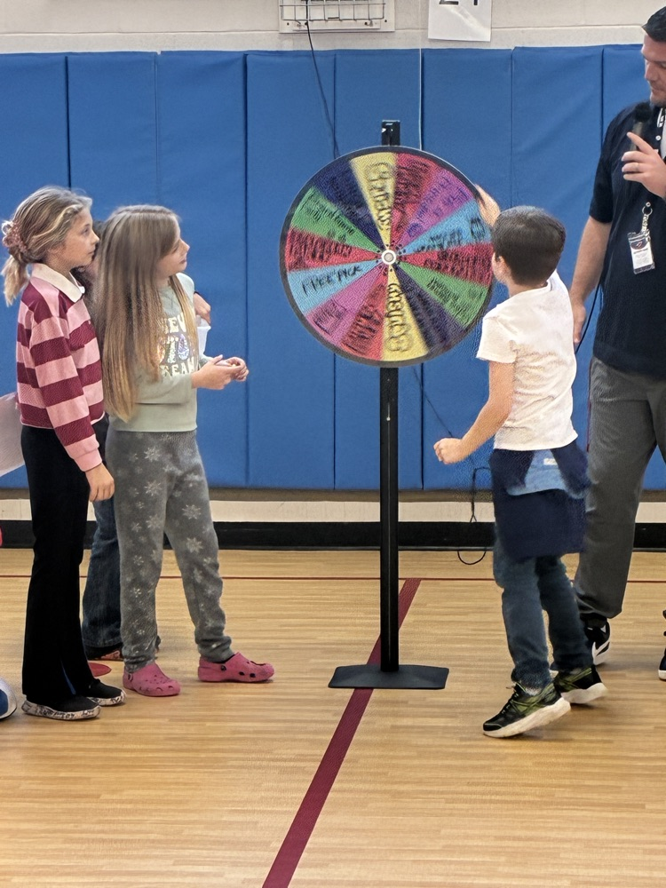 spinning the CARDS wheel