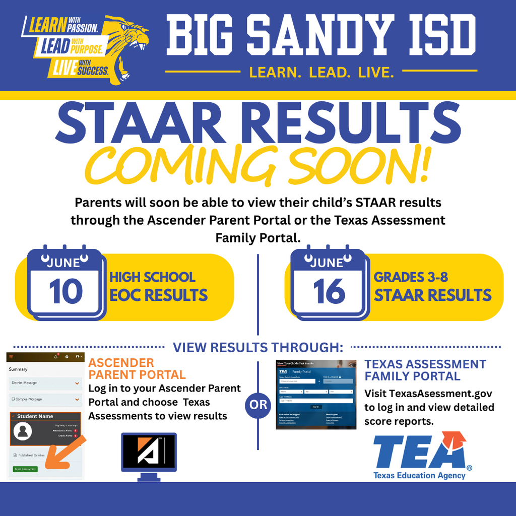 STAAR Results Info