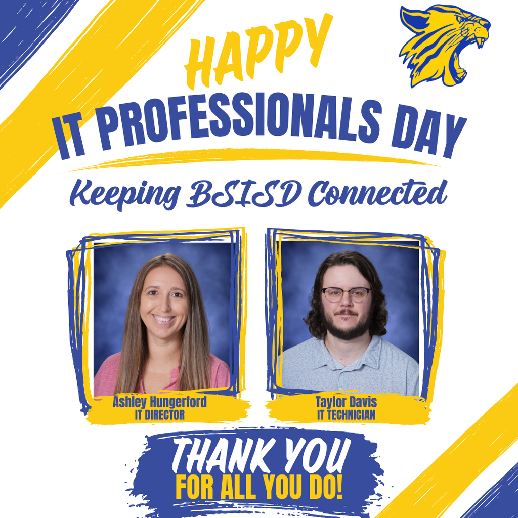 IT Professional Graphic