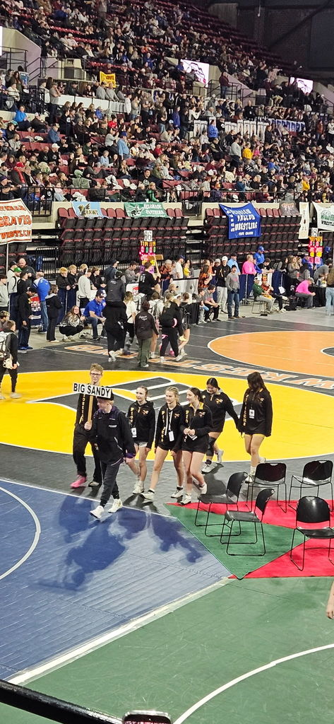 State Qualifiers marching in the parade of athletes at the metra in Billings 