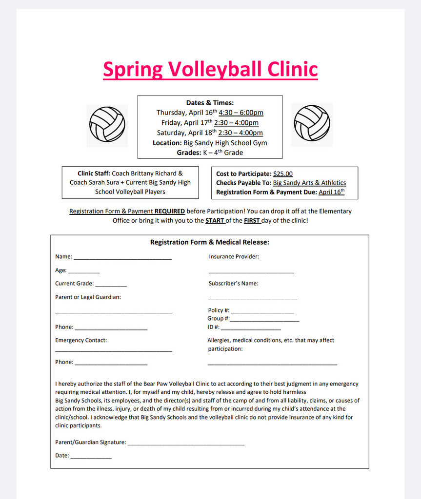 spring volleyball clinic 