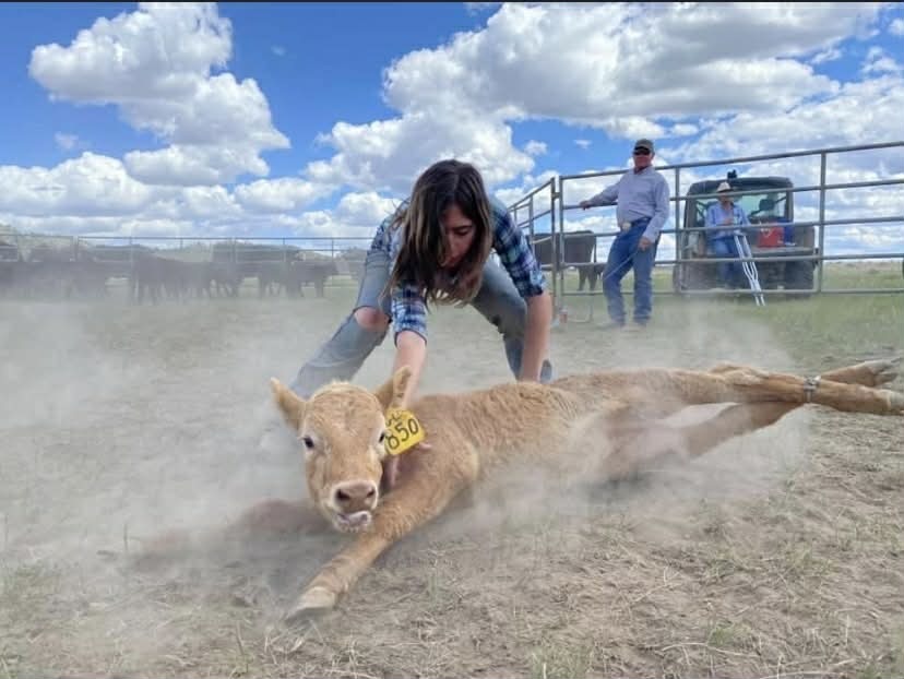 Camielle Nissen, branding