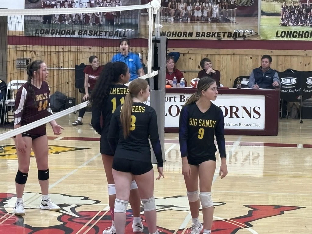 Camielle Nissen volleyball