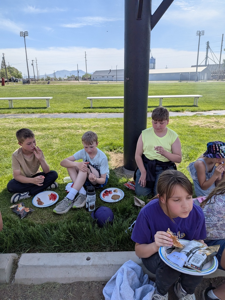 barbecue lunch 