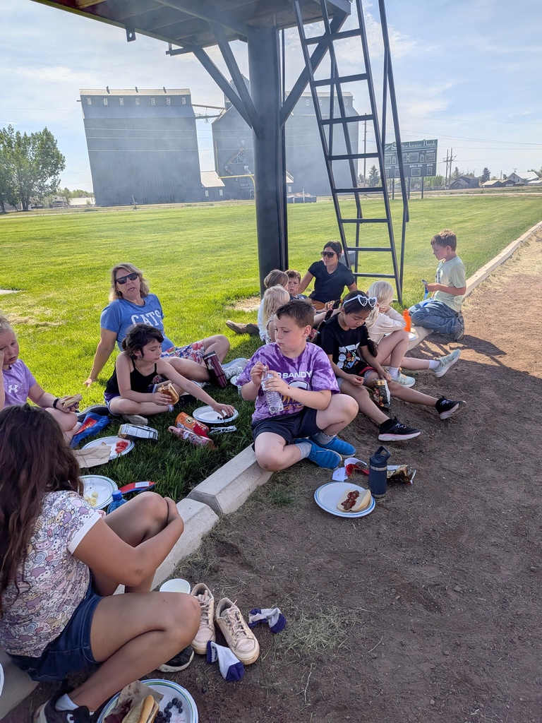 barbecue lunch 