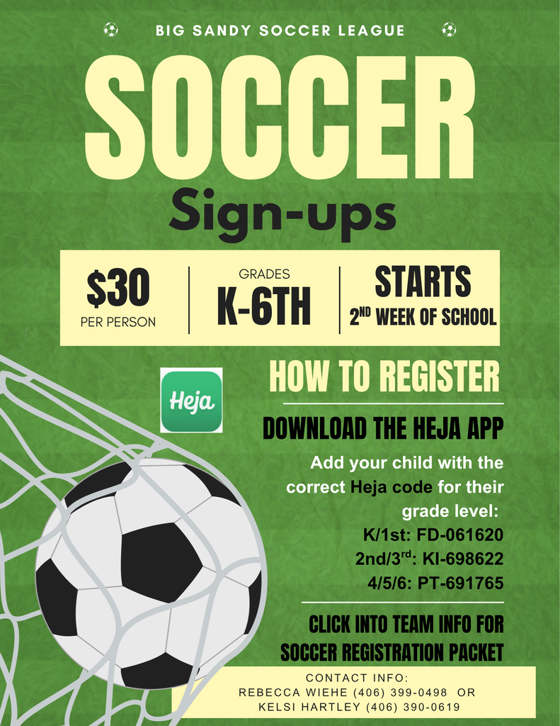 Soccer Flyer