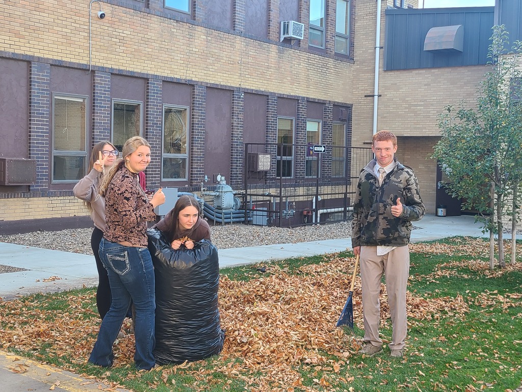cleaning up leaves in the courtyard