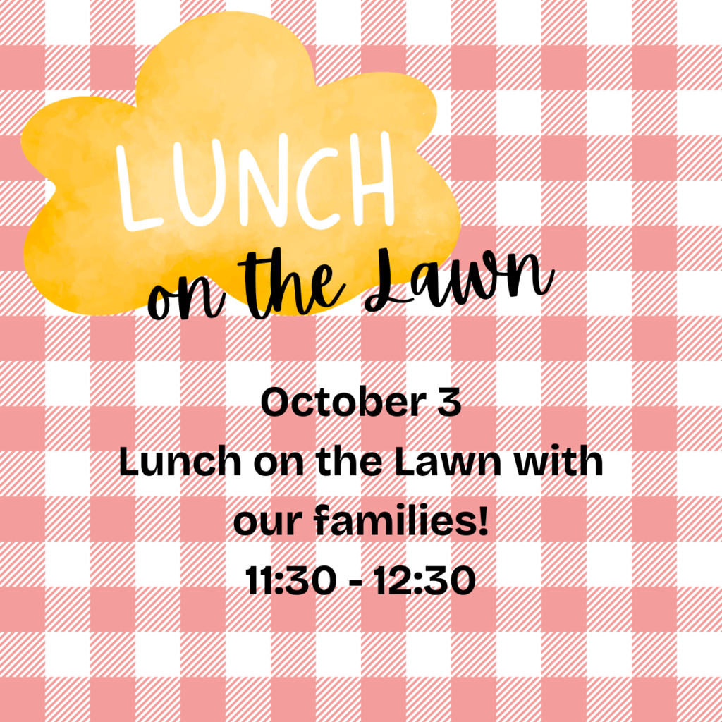 Picnic lunch