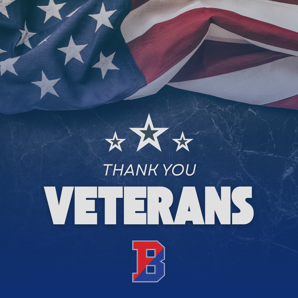 veterans day graphic