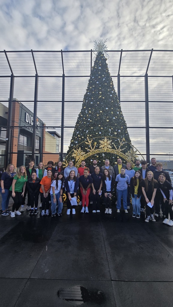 visions credit union student interns pose for photo in front of holiday tree at dick's house of sport