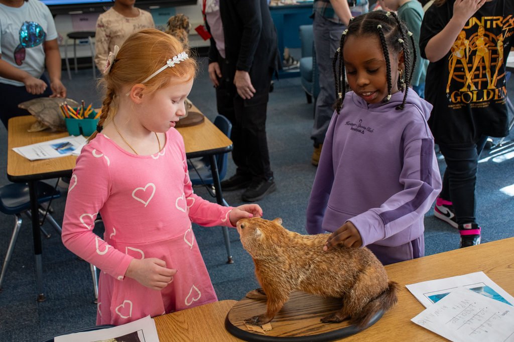 two students pet a taxidermied groundhog