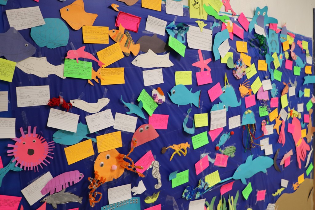 Ocean project West Middle School