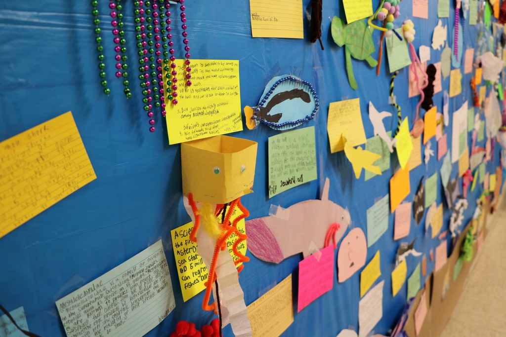 Ocean project West Middle School