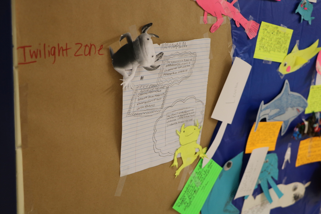 Ocean project West Middle School