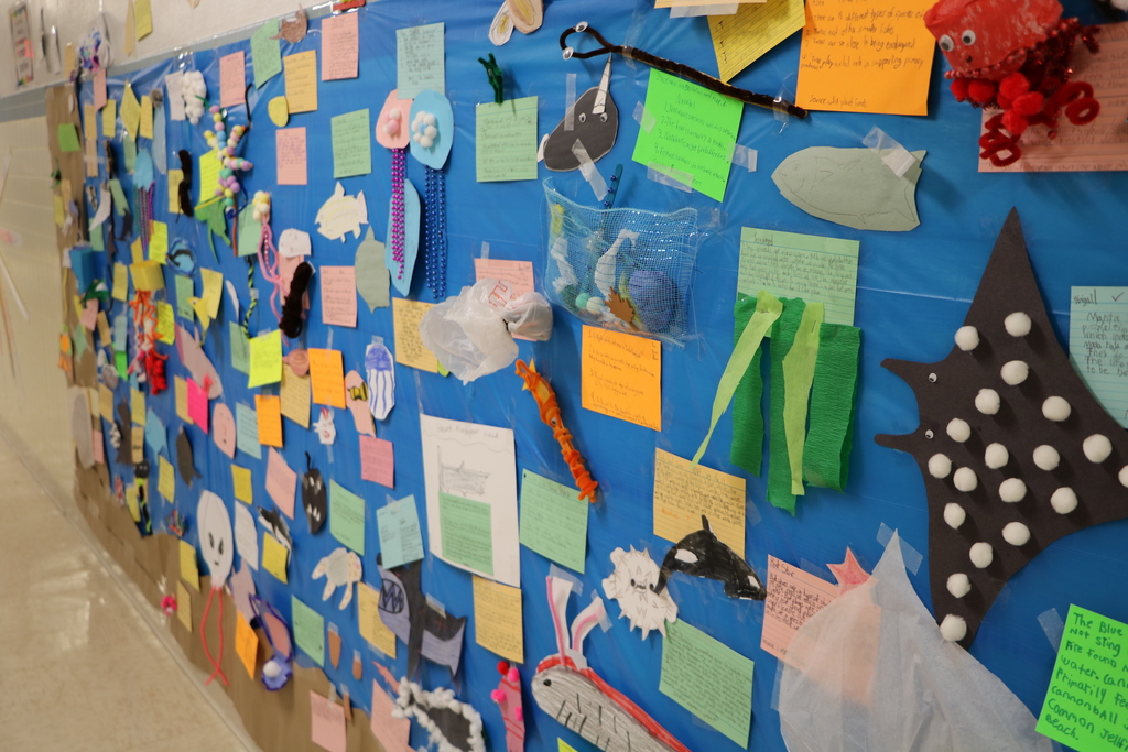 Ocean project West Middle School