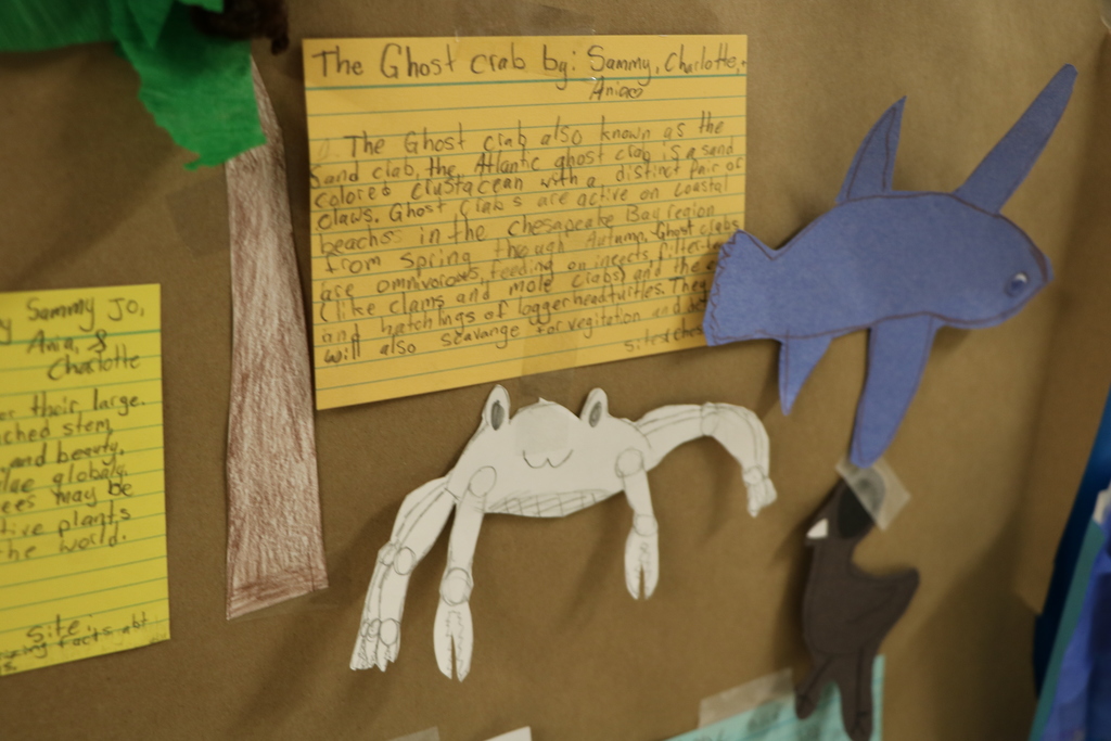 Ocean project West Middle School