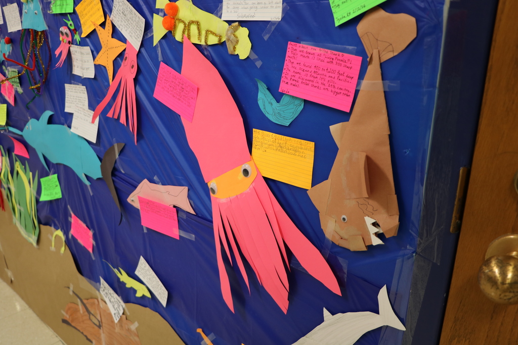 Ocean project West Middle School