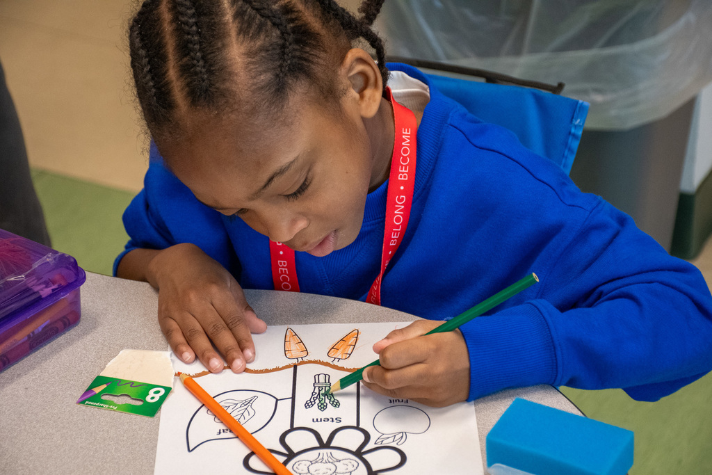 kindergarten student colors in picture of vegetables